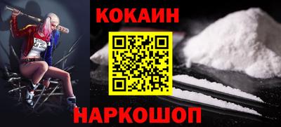 шишки Кингисепп