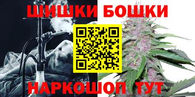 шишки Кингисепп