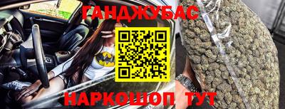 шишки Кингисепп