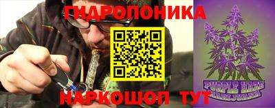 сатива Кимры