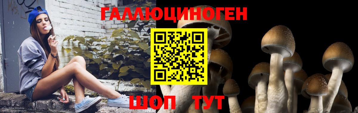 Псилоцибиновые грибы прущие грибы Курчатов